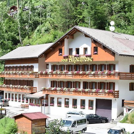 Hotel Alpenrose Alleghe Bagian luar foto