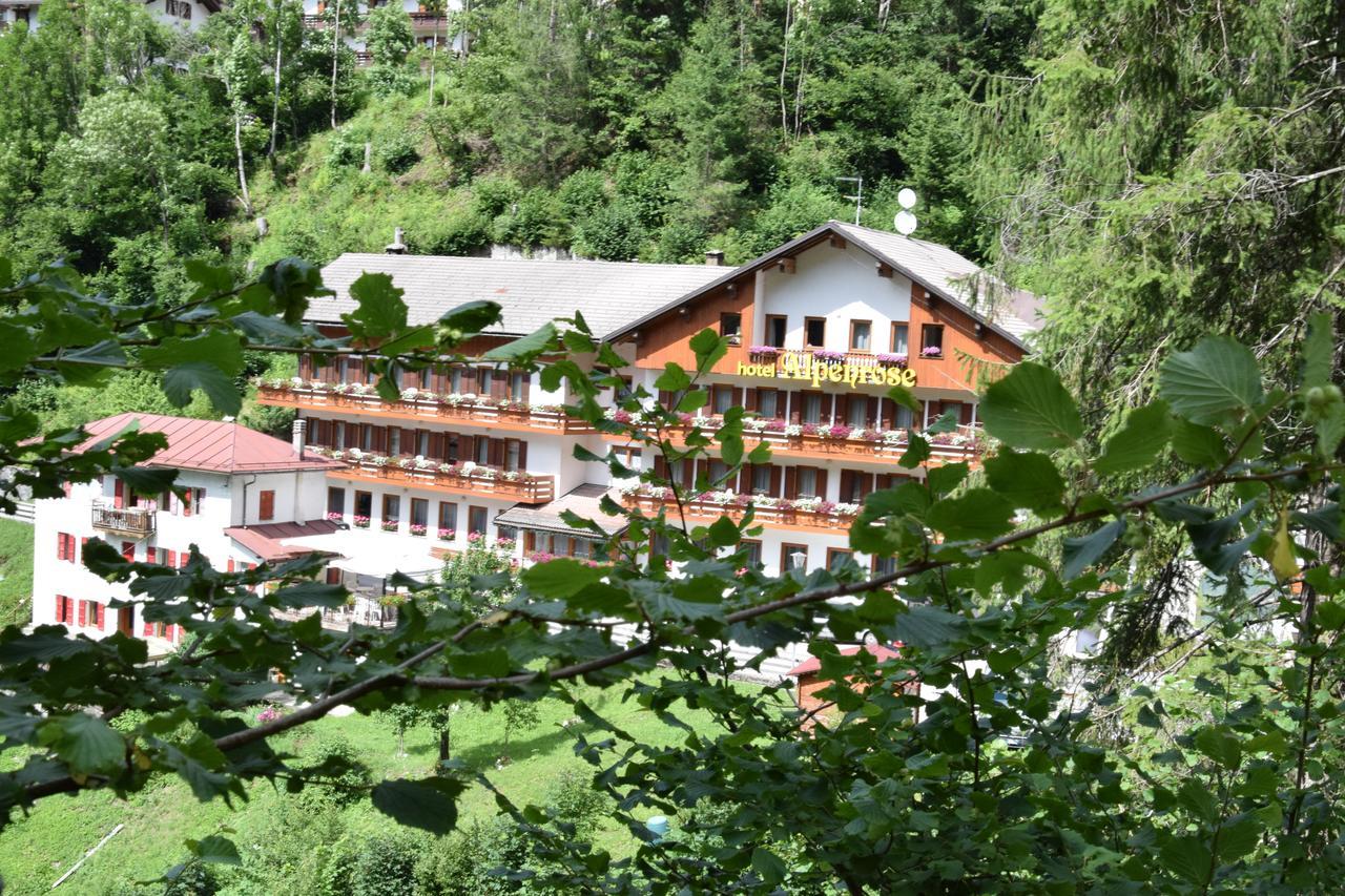 Hotel Alpenrose Alleghe Bagian luar foto